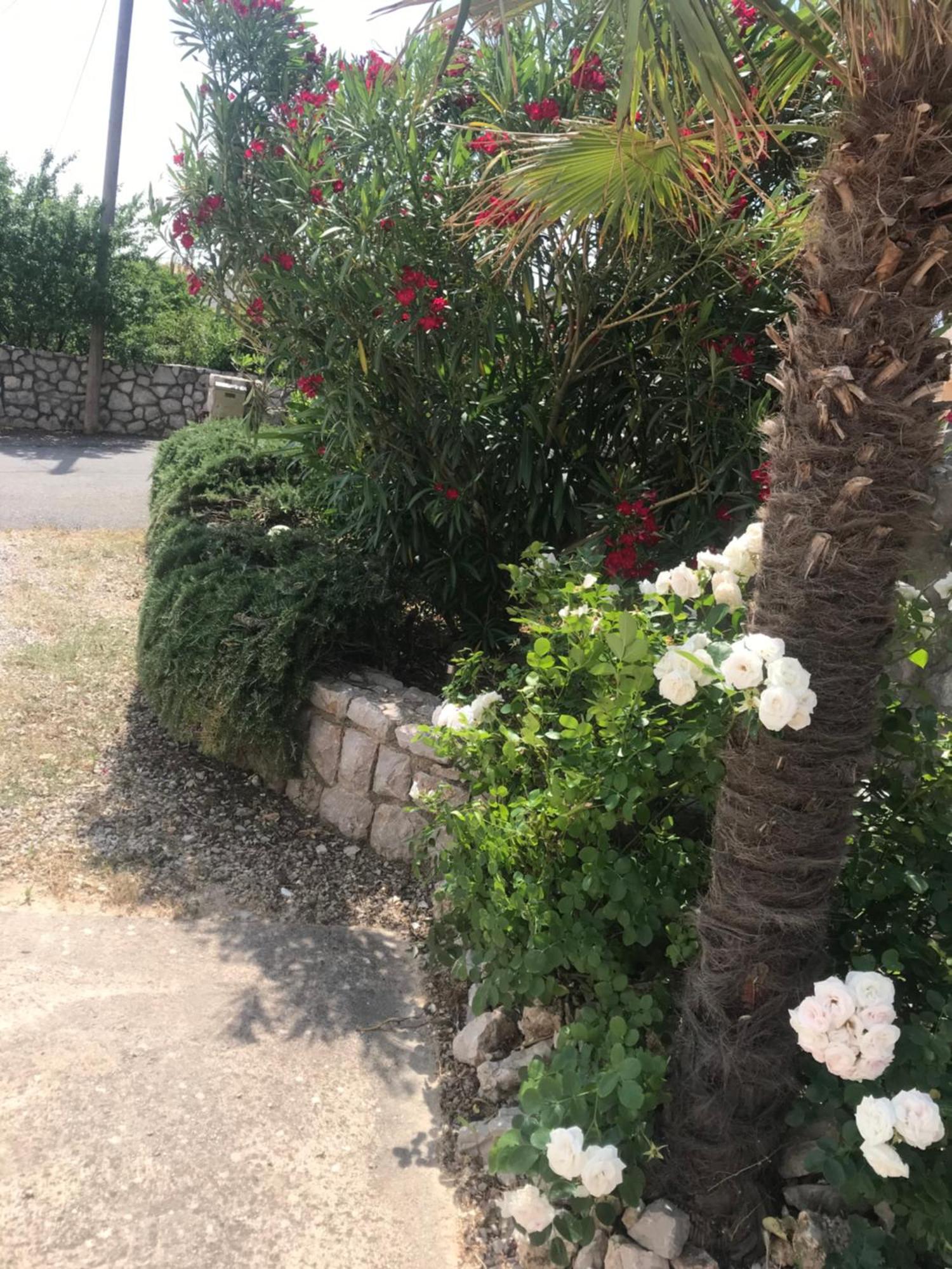 Botic Apartments Šilo Dış mekan fotoğraf